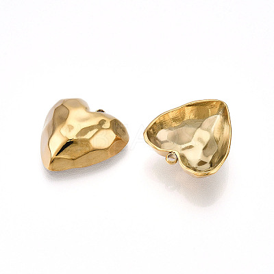304 Stainless Steel Pendants STAS-N109-04G-1