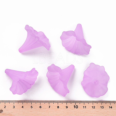 Transparent Acrylic Beads BSF796-C08-1
