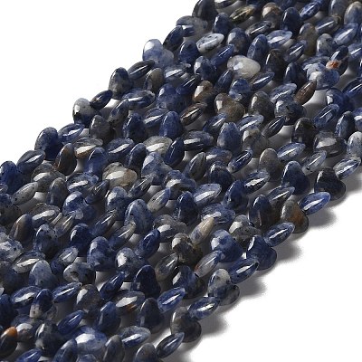 Natural Sodalite Beads Strands G-P575-C15-6mm-1