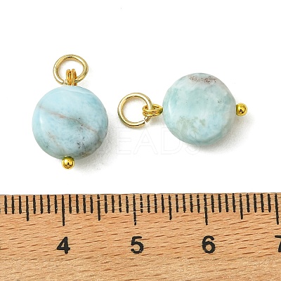 Natural Larimar Pendants PALLOY-JF05999-1