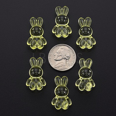 Transparent Acrylic Beads LS-MACR-S373-81-B06-1