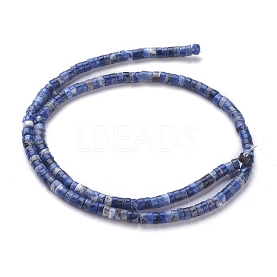 Natural Sodalite Beads Strands G-H230-10-1