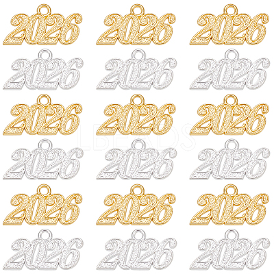 24Pcs 2 Colors Zinc Alloy Pendants FIND-SP0005-22-1