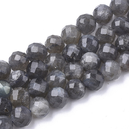 Natural Labradorite Beads Strands G-S345-10mm-005-1