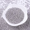MIYUKI Delica Beads SEED-MY11-DB0429-2