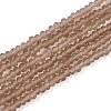 Transparent Glass Beads Strands LS-EGLA-A044-T1mm-MD16-1