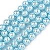 Electroplated Shell Pearl Beads Strands BSHE-G041-6mm-03-1