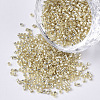 11/0 Grade A Glass Seed Beads SEED-S030-42L-1