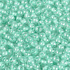 FGB Glass Seed Beads SEED-Q040-08A-10-3