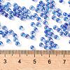 TOHO 8/0 Round Beads SEED-XTR08-0189-4