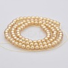Pearl Luster Plated Glass Round Beads Strands GLAA-A025-4mm-PL01-2