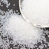 8/0 Glass Seed Beads SEED-J012-F8-101-1