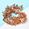 Natural Quartz Crystal Points Beads Strands G-K181-B26-8