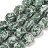 Natural Green Spot Jasper Beads Strands GG-CBAF8A8-A01-01-2