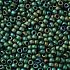 TOHO Round Seed Beads X-SEED-TR08-0710-2