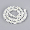 Handmade Foil Lampwork Beads Strands FOIL-T008-01H-1