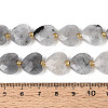 Natural Labradorite Beads Strands LS-G-P592-B14-01-5