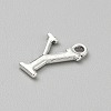 Alloy Pendants FIND-TAC0038-01AS-25-2