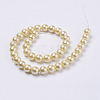 Wrinkle Textured Shell Pearl Beads Strands X-BSHE-E016-12mm-04-2