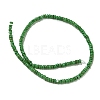 Dyed Natural Freshwater Shell Beads Strands BSHE-G039-07H-2