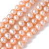Natural Cultured Freshwater Pearl Beads Strands PEAR-I007-07O-05D-2