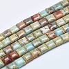 Natural Aqua Terra Jasper Beads Strands G-E444-19-1