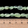 Natural Prehnite Beads Strands G-G018-64-3