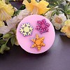 Food Grade Silicone Molds LS-DIY-E013-04-3