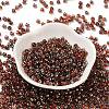 Transparent Inside Colours Glass Seed Beads SEED-H002-A-C205-2