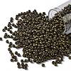 TOHO Round Seed Beads SEED-XTR08-0702-1