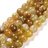 Natural Striped Agate/Banded Agate Beads Strands G-Z060-A01-C09-1