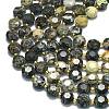Natural African Turquoise(Jasper) Beads Strands G-C116-A133-01-3