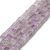Natural Amethyst Beads Strands G-I327-A03-1