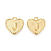 Alloy Pendants PALLOY-N157-001J-NR-1