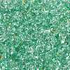 6/0 Spray Paint Fringe Glass Seed Beads X1-SEED-H003-11L-2