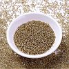 MIYUKI Delica Beads SEED-J020-DB2155-2