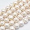 Natural Cultured Freshwater Pearl Beads Strands PEAR-K003-03A-1