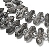 Natural Map Stone Double Terminated Point Beads Strands G-H069-B09-01-4