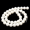 Shell Pearl Beads Strands BSHE-K015-10mm-03-4