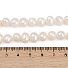 Natural Cultured Freshwater Pearl Beads Strands PEAR-I007-07J-02A-5