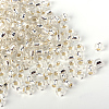 MGB Matsuno Glass Beads SEED-R033-4mm-34RR-3