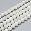Natural Rainbow Moonstone Beads Strands G-G792-34A-1