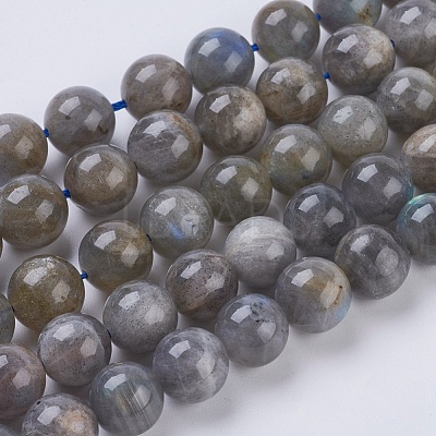 Natural Labradorite Beads Strands X-G-G212-10mm-23-1