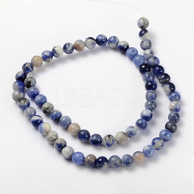 Natural Sodalite Beads Strand LS-GSR6mmC013-1