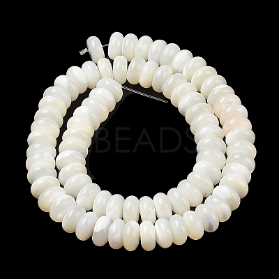 Natural Trochus Shell Beads Strands SHEL-P017-06-1