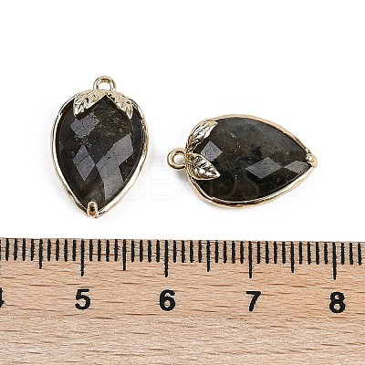 Natural Labradorite Faceted Pendants G-M431-06G-12-1