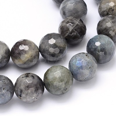 Natural Labradorite Round Bead Strands G-O094-06-16mm-1