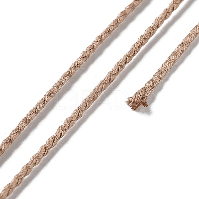 20M Polyester Braided Cord for Jewelry Making OCOR-G015-04A-06-1