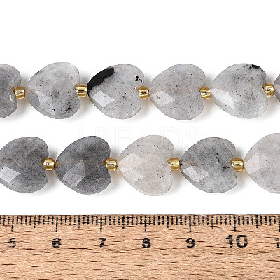 Natural Labradorite Beads Strands LS-G-P592-B14-01-1