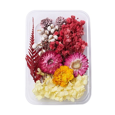 Dried Flowers DIY-D052-18-1